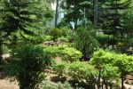 GARDEN.1.jpg