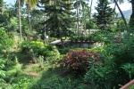 GARDEN2 .jpg