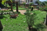 PARK1.jpg