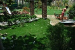 PARK.7.jpg