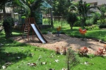 PARK3.jpg